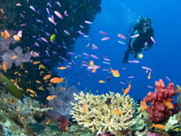 iExplorer