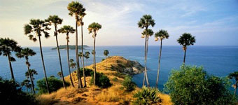 Tour & Transportation / Airport Transfers