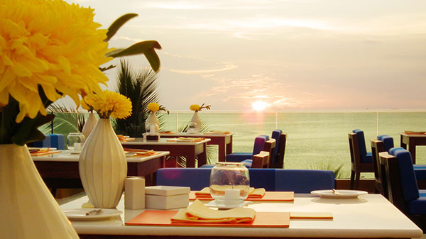 The Surface Restaurant & Bar